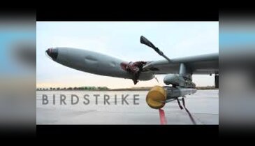 NATO uçağına kuş çarptı