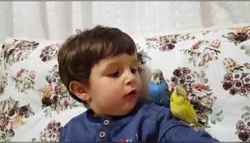 Bursa'da minik Taha'nın kuşlarla renkli diyaloğu