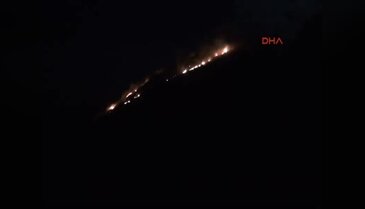 Kamp ateşi orman yangınına neden oldu