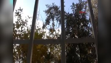 Mardin Derik'te 1 eve roketatar isabet etti