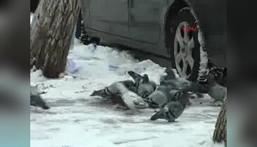 Doğu'da 696 köy yolu kardan kapalı