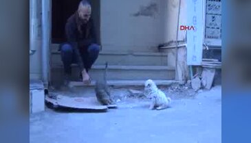 Bursa'da dostlukları herkesi kıskandırıyor