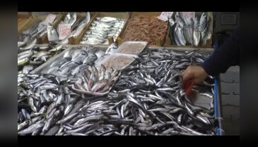 Marmara'da hamsi azaldı, fiyatlar yükseldi