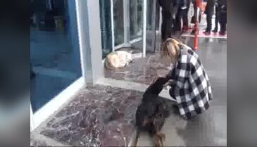 Cam filmine 'kadın sürücülere taciz var' savunması