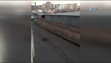 139 terörist etkisiz hale getirildi