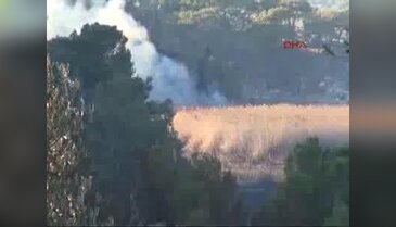 Kaş'ta orman yangını