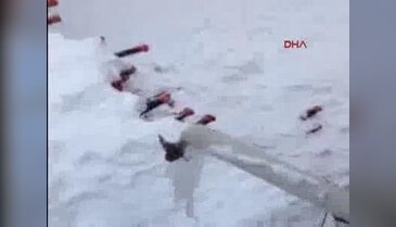 Serçe, içmek istediği su ile birlikte dondu