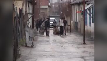 Elazığ'da Suriyelilerin odun kapma izdihamı