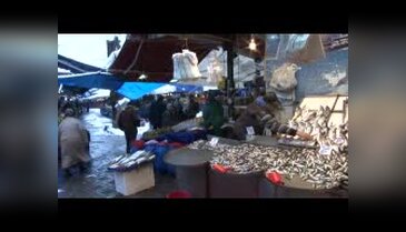 Bursa'da kar yağdı balıkçının yüzü güldü