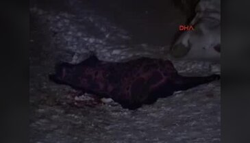 Köy meydanında tüfekle vurularak öldürüldü