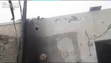 Yılın babası!