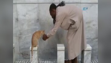Kutsal topraklardan insanlık dersi