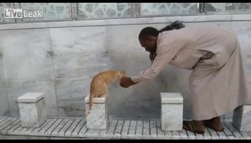 Susayan kediye elleriyle su içirdi