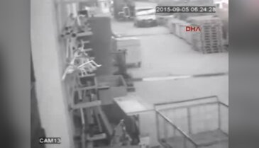 250 hırsızlık yapan şebeke yakalandı
