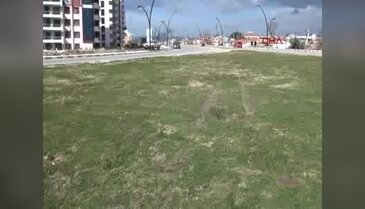 Manisa'da kaza: 3 ölü