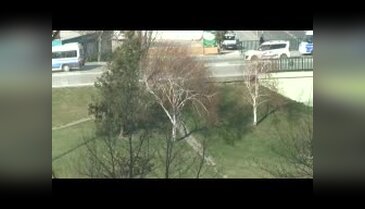 Bursa lodostan kurtulamıyor!