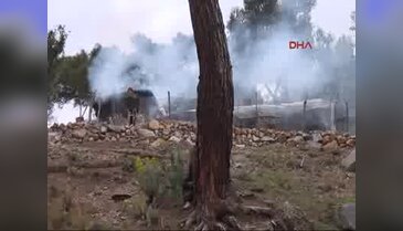 Ahırda yaşamaya başladılar