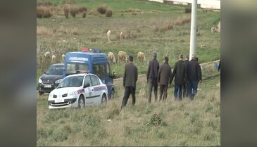 Bursa'da köylüler dedelerinin mirası için direniyorlar!