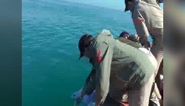 Kemer'de denizde erkek cesedi bulundu