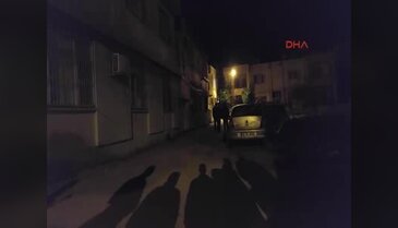 Kuş cinayeti!