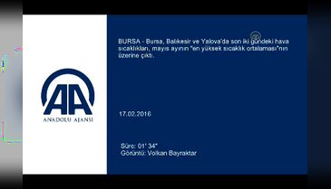 Marmara yanıyor! Bursa'da 2,5 katına ulaştı!