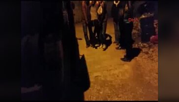 Suriye'de yaralanan 4 Türkmen savaşçı Bolu'da tedaviye alındı