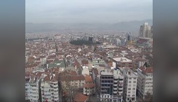 Bursa'da tarihi Tophane sırtlarında şok eden görüntüler!