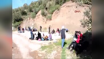 Küçükkuyu'da 186 mülteci yakalandı
