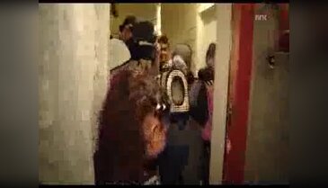 Iraklı sığınmacı kedinin Norveç'e inanılmaz kaçışı