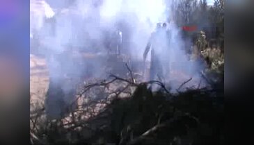 Türkiye sınırında yangın çıktı