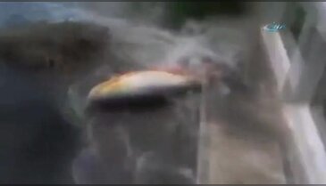 Balık tutmada ilginç yöntem