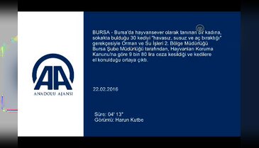 Bursa'da 'hayvansever' kadına 'eziyet'ten para cezası!