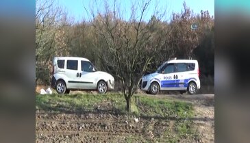Armut bahçesinde çelik kasa bulundu