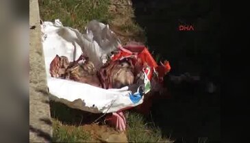 İstanbul'da poşete sarılı bebek cesedi bulundu