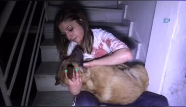Köpeği için "ne olur ölme" diyerek gözyaşı döktü