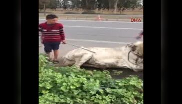Açlık ve yorgunluktan yola yığılan ata kırbaç