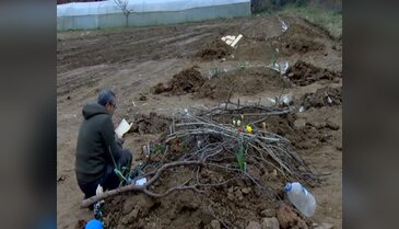 Bursa Gemlik'in mezarlık sorununa köklü çözüm