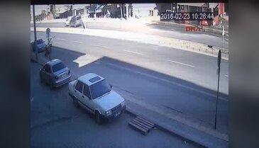 Yola fırlayan köpek kazaya neden oldu