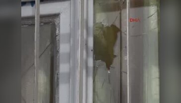 Sınırı aşan mermiler iki eve isabet etti