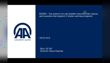 Bursa'da 'çeyrek dilim karpuz'lar tezgahlarda