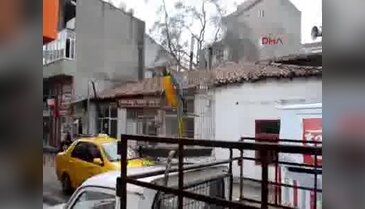 Papağan yakalama operasyonu