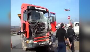 TIR ile kamyonet çarpıştı, 2 büyükbaş hayvan telef oldu