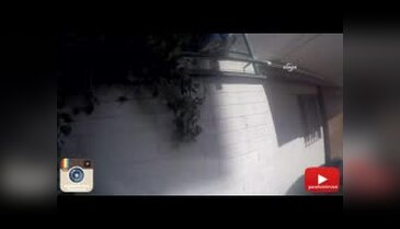 Selfie için 240 metrelik vince tırmandılar