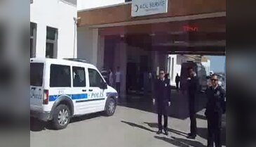 Karaman'da köpek kavgası: 1 ölü, 1 yaralı