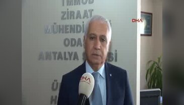 Satılmayan domates 10 kuruşa salçacıda