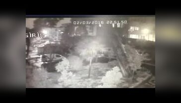 Şiddetli yağış ağaç devirdi