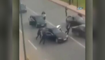 Fas Kralının konvoyunun önünü kesti!