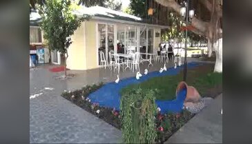 Bu kafenin garsonları Down sendromlu