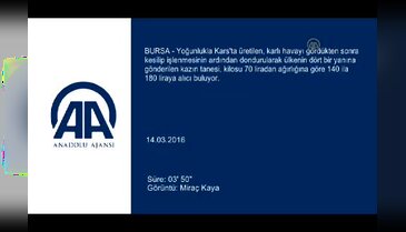 Altınla yarışan kaz eti Bursa'da yok satıyor
