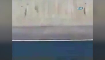 Katır yanlış zamanda hemzemin geçide girince...